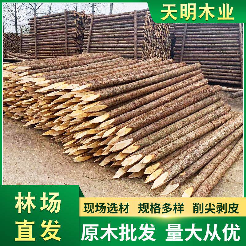 檩条园林绿化支撑杆河道打桩木方木原木防汛防洪木桩杉木桩