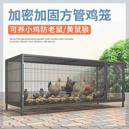鸡下蛋的笼子家用加粗大号养殖笼折叠鸭笼鹅笼狗笼自动滚蛋鸡笼