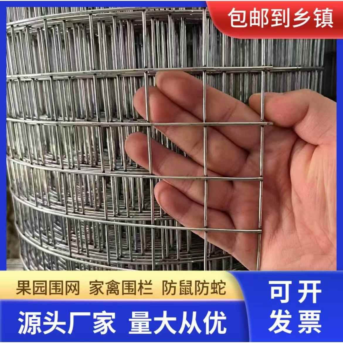 镀锌钢丝网加粗超硬铁丝网围鸡鸭鹅养殖网封窗网防猫防护铁网格网