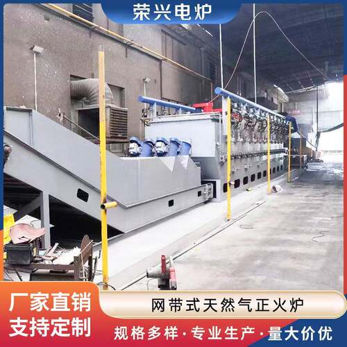 网带式天然气正火炉能耗低坚固耐用节约成本无污染工厂供应