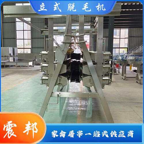 不锈钢家禽电动脱毛机全自动屠宰流水全套设备加工机械供应