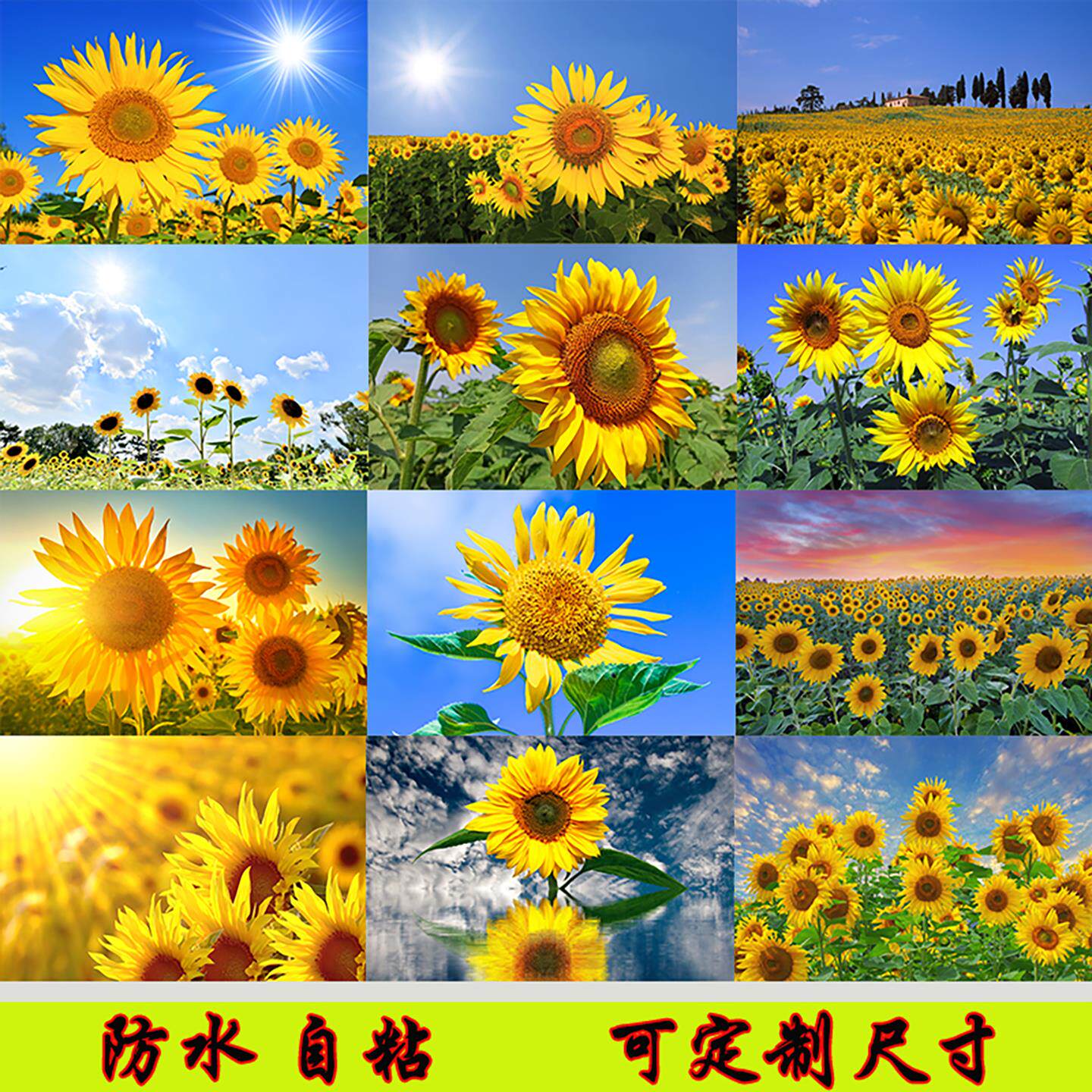向日葵向日葵客厅沙发背景壁画 画简约向日葵花饭厅墙上横版挂画