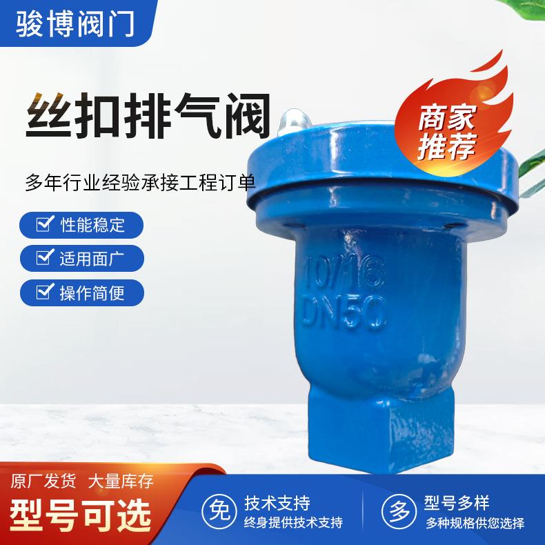 厂家供应微量排气阀微量排气阀自动排气阀dn254分丝口排气阀