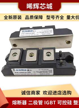 PK200HB160 PK250HB120 可控硅整流器型号齐全 标准封装量大从优