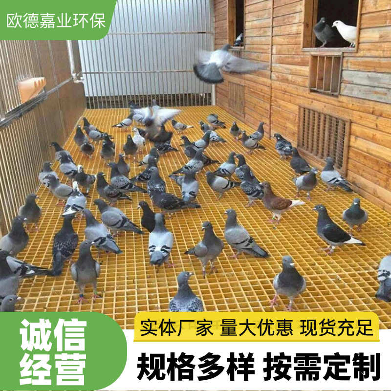 38mm水沟排污水池网格板树坑树篦子承重强支持订货玻璃钢格栅