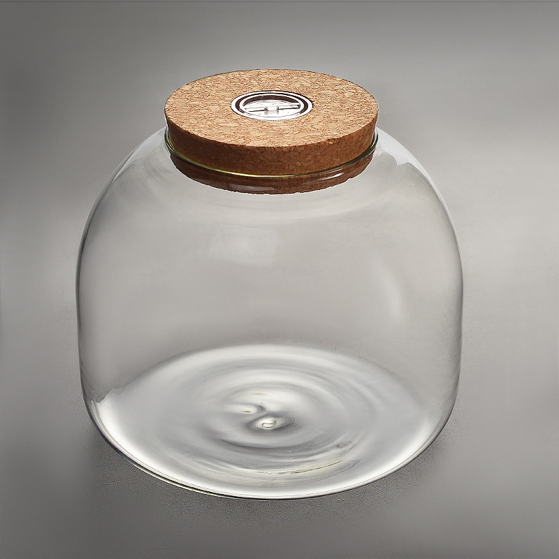 微景观生态瓶苔藓玻璃瓶水培植物玻璃花瓶造景玻璃容器带灯