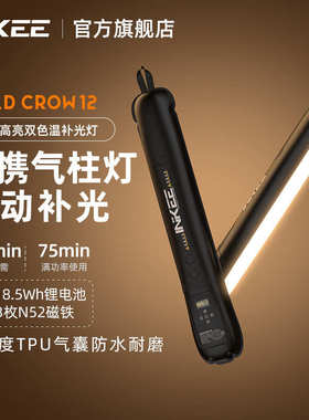 厂家直销INKEE/影器GC12气柱灯Led移动手持补光棒12w户外露营氛围