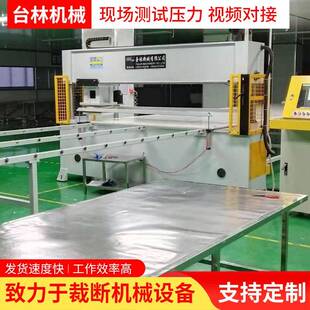 供应电脑智能全自动面膜裁断机CAD自动排版 360度旋转头裁断机