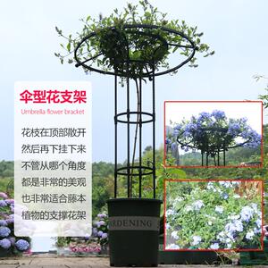 组装伞形花架爬藤架玫瑰攀藤蔷薇花植物花支架杆园艺绿植厂家直销