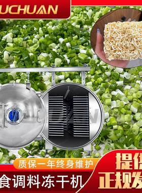 调料包冻干机快餐速食品泡面饼真空冷冻干燥机葱花香菜冻干设备