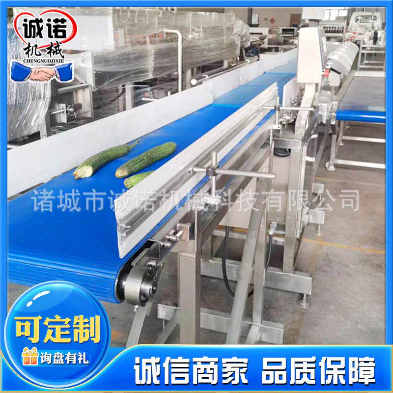商用果蔬大小传送带分选机 肉鸭洋葱分级机 家禽皮带式分选设备