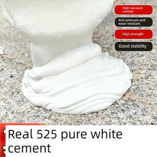 白水泥525速干防水卫生间瓷砖勾缝填补堵漏家用地面补坑修补粉料