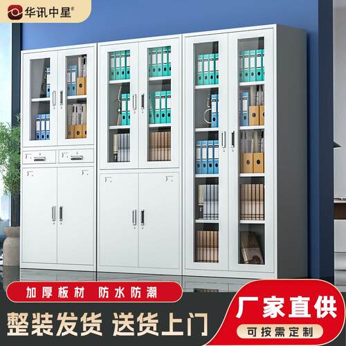 钢制公文件柜铁皮资料柜财务凭证档案柜收纳带锁储物柜双开门