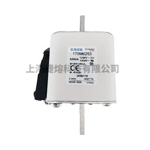 170M6253 器件 快速熔断器 电子元 量大价优 保险丝 170M6252