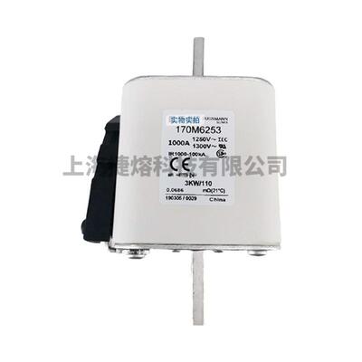 170M6252 170M6253 快速熔断器 保险丝 电子元器件 量大价优