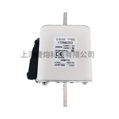 170M6252 170M6253 快速熔断器 保险丝 电子元器件 量大价优