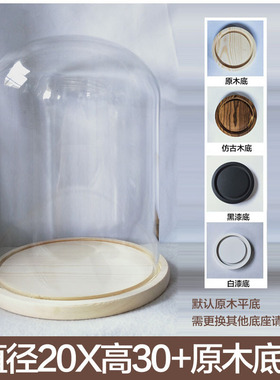 玻璃罩节日迷你昆虫装饰钟表木塞应援棒礼品标本手工卡通珠宝