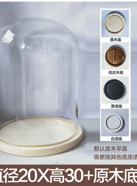 玻璃罩节日迷你昆虫装饰钟表木塞应援棒礼品标本手工卡通珠宝