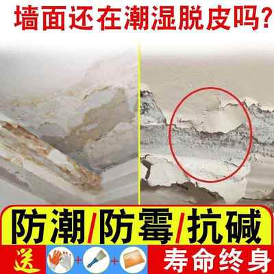 水泥墙面起碱起皮脱落发霉修补剂抗碱克星内墙返碱返潮除霉