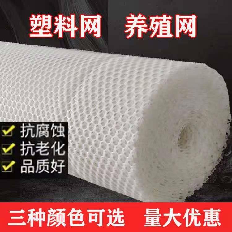 养鸡鸭鹅育雏垫脚网 塑胶材质畜牧围网 阳台防护格栅胶网片