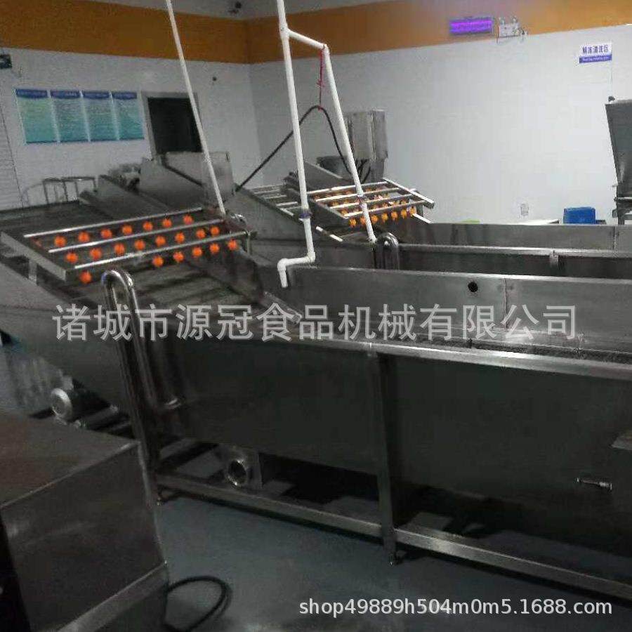 源冠 气泡清洗机 瓜果蔬菜大枣生姜鼓泡翻转式清洗设备 厂家直销