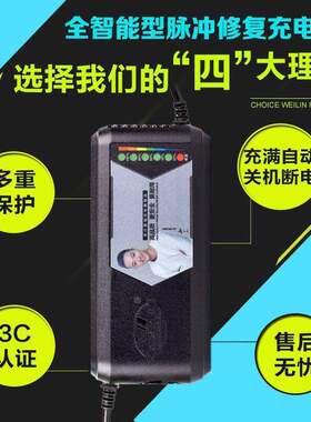 广源之星自动断电电动车充电器48V/60V/72V20AH32AH60AH充电器