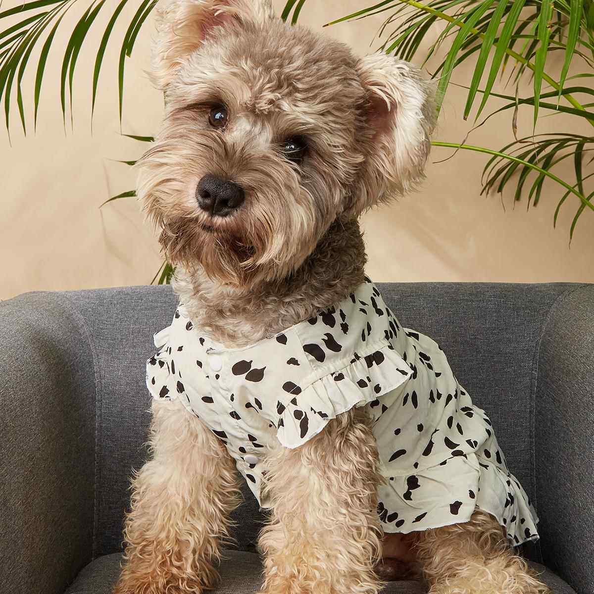 奶牛纹宠物衣服黑白斑点狗狗衣服新款可爱连衣裙猫咪衣服跨境货源