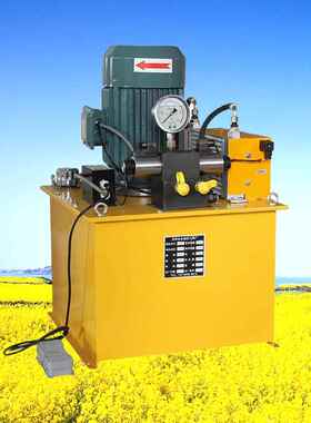 3千瓦电动液压泵 超高压电动泵 液压站 脚踏电动泵 70mpa电动泵