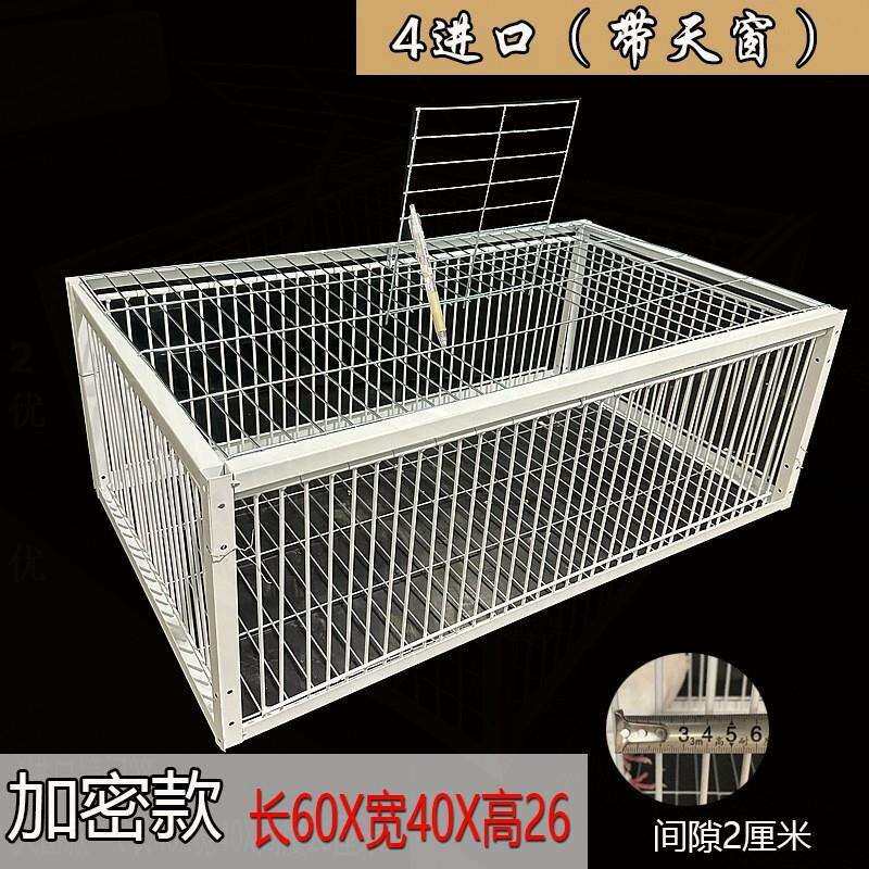 鸽子笼只进不出加密活络门自动门撞门户外房顶四门鸽子笼防腐防锈