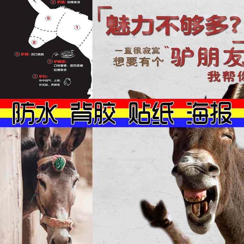 装饰画 驴肉火烧店装饰贴画壁纸贴图 毛驴海报背胶自贴图片大幅