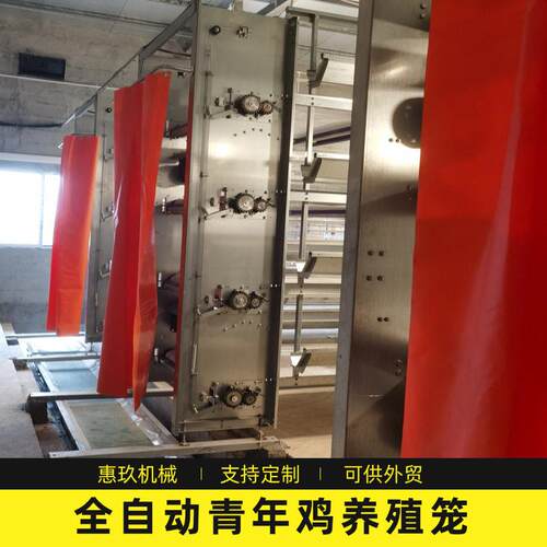 全自动青年鸡养殖笼养殖场养鸡场养鸡鸽子笼 立式自动化养殖设备