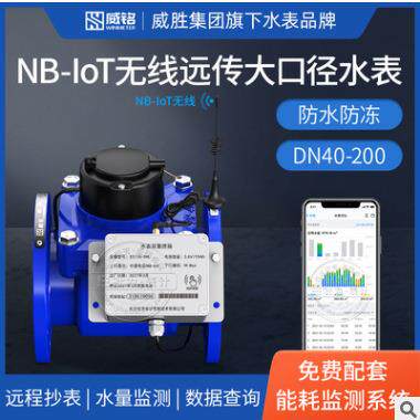 威胜水表威铭水表LXLY大口径智能远传水表M-BUS有线/NB-LOT无线