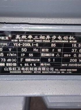 山东源头厂家直供YE4-200L1-6/18.5WYE4系列三相异步电动机质