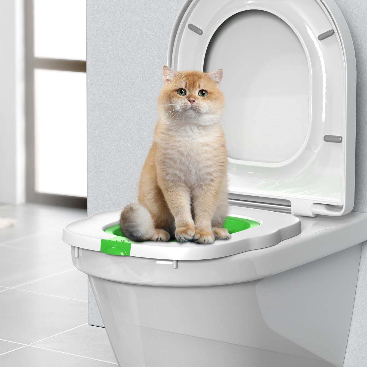 新款四代猫厕所训练器蹲坑马桶坐便器宠物上厕所排便猫砂盘训练器