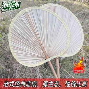 扇子夏天大蒲扇葵扇济公扇老式蒲草手工扇绘画 画扇粽叶烧烤扇芭