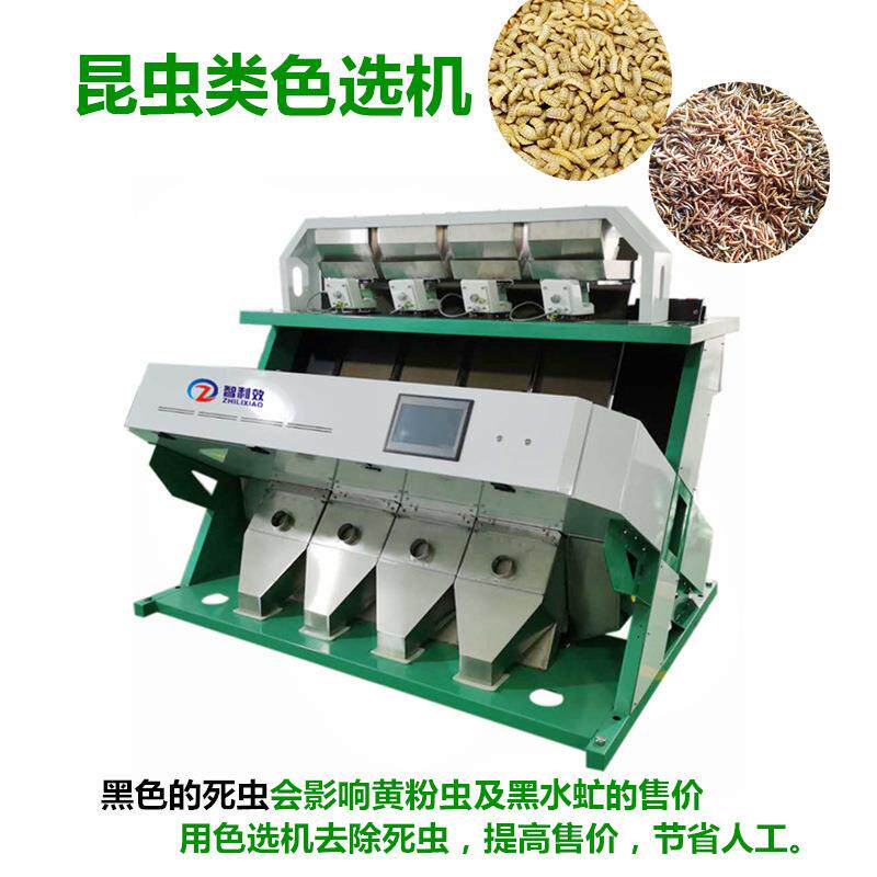 黄粉虫色选机黑水虻分选机大麦虫干虫活虫挑死虫色选厂家