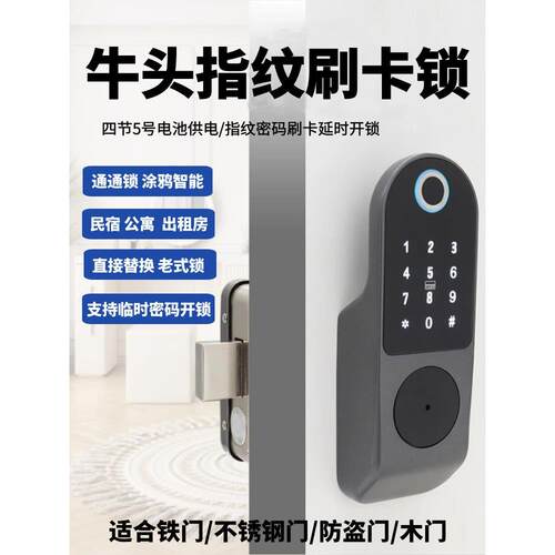 老式牛头锁指纹锁家用出租房刷卡电子智能门锁户外大门密码锁铁门