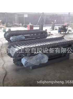 专业供应销售LDG500熟料链板秤、高温自动定量给料机山东