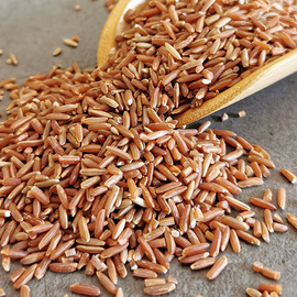 红米农家红糙米500g红大米粳米五谷杂粮血稻米低脂红香米