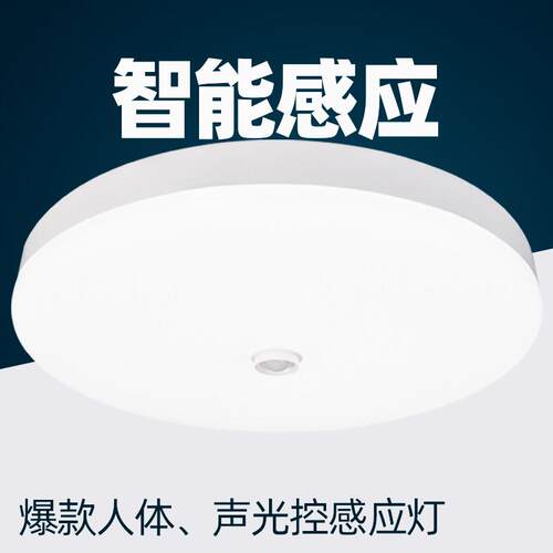 朗帝斯人体红外感应灯LED吸顶灯声控吸顶灯家用楼道过道走廊楼梯
