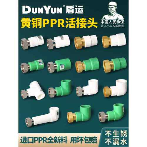 Dunyun Ppr Union 4分钟6分钟内线弯头直接头热水器20管25 32热熔