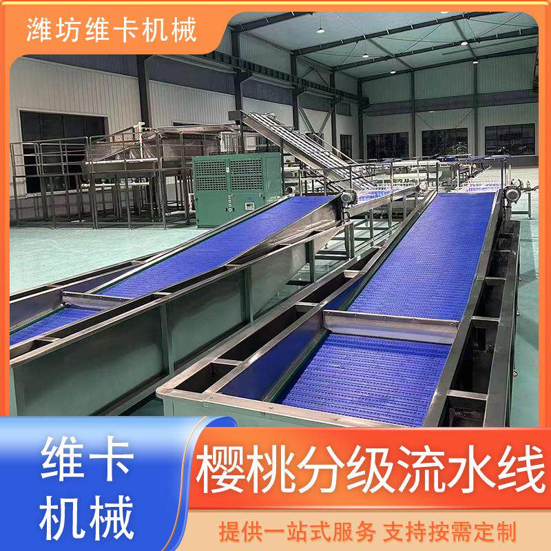樱桃滚杠选果机大型车厘子大小分级设备线预冷清洗分选线