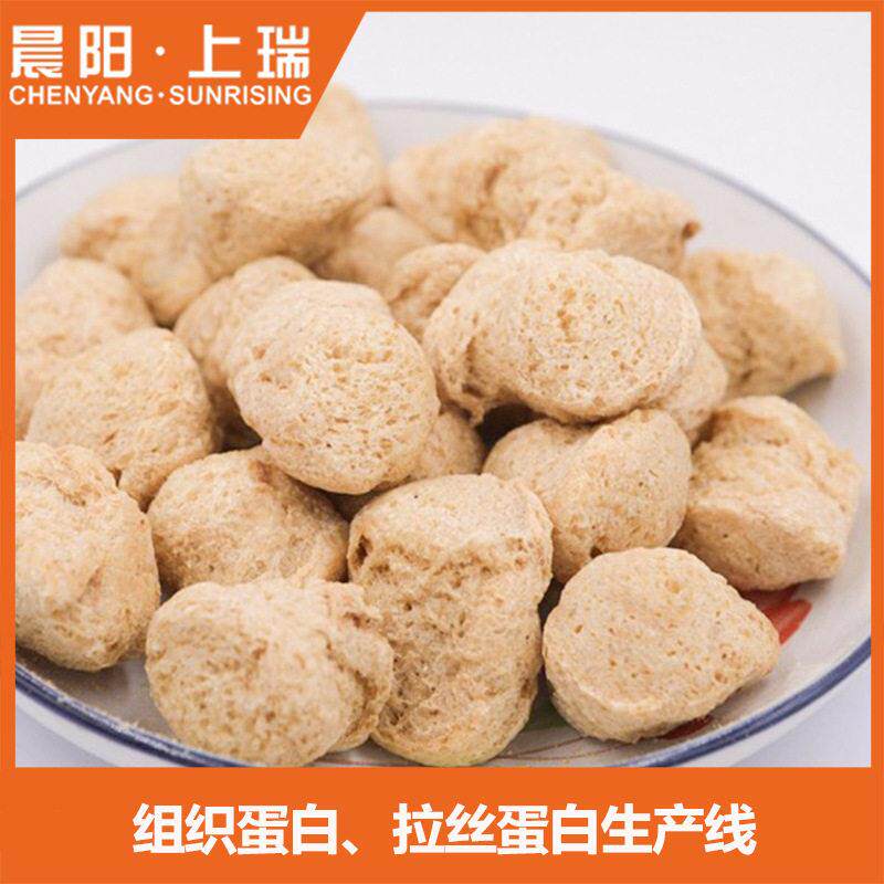 时产1吨组织蛋白、拉丝蛋白生产线机械设备 双螺杆膨化机 科