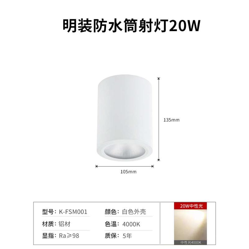 阳台顶门头室外明装酒店露台雨棚灯防水射灯ip65吸店铺防潮筒户外