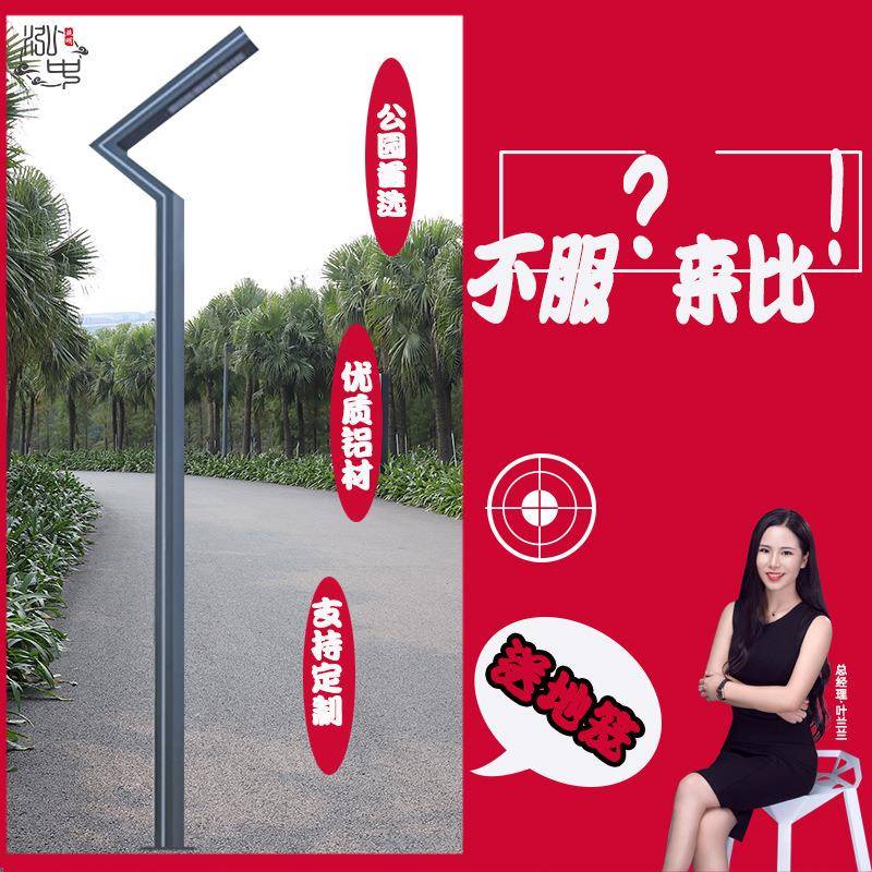 了字铝型材50w模组光源3.5米led景观灯含地笼 户外侧发光花园灯