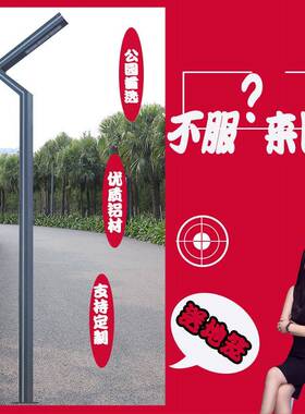 了字铝型材50w模组光源3.5米led景观灯含地笼 户外侧发光花园灯