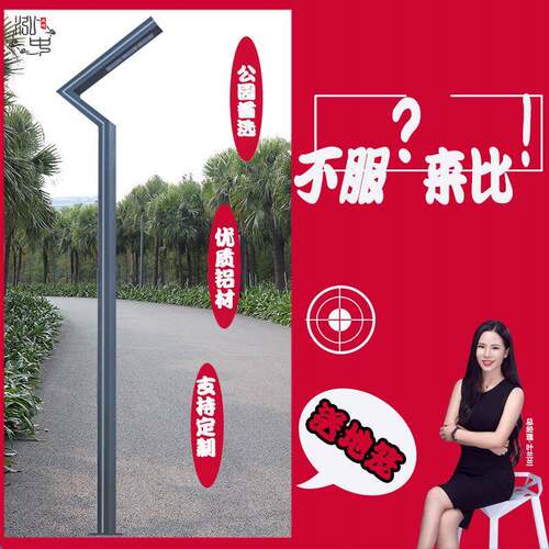 了字铝型材50w模组光源3.5米led景观灯含地笼户外侧发光花园灯