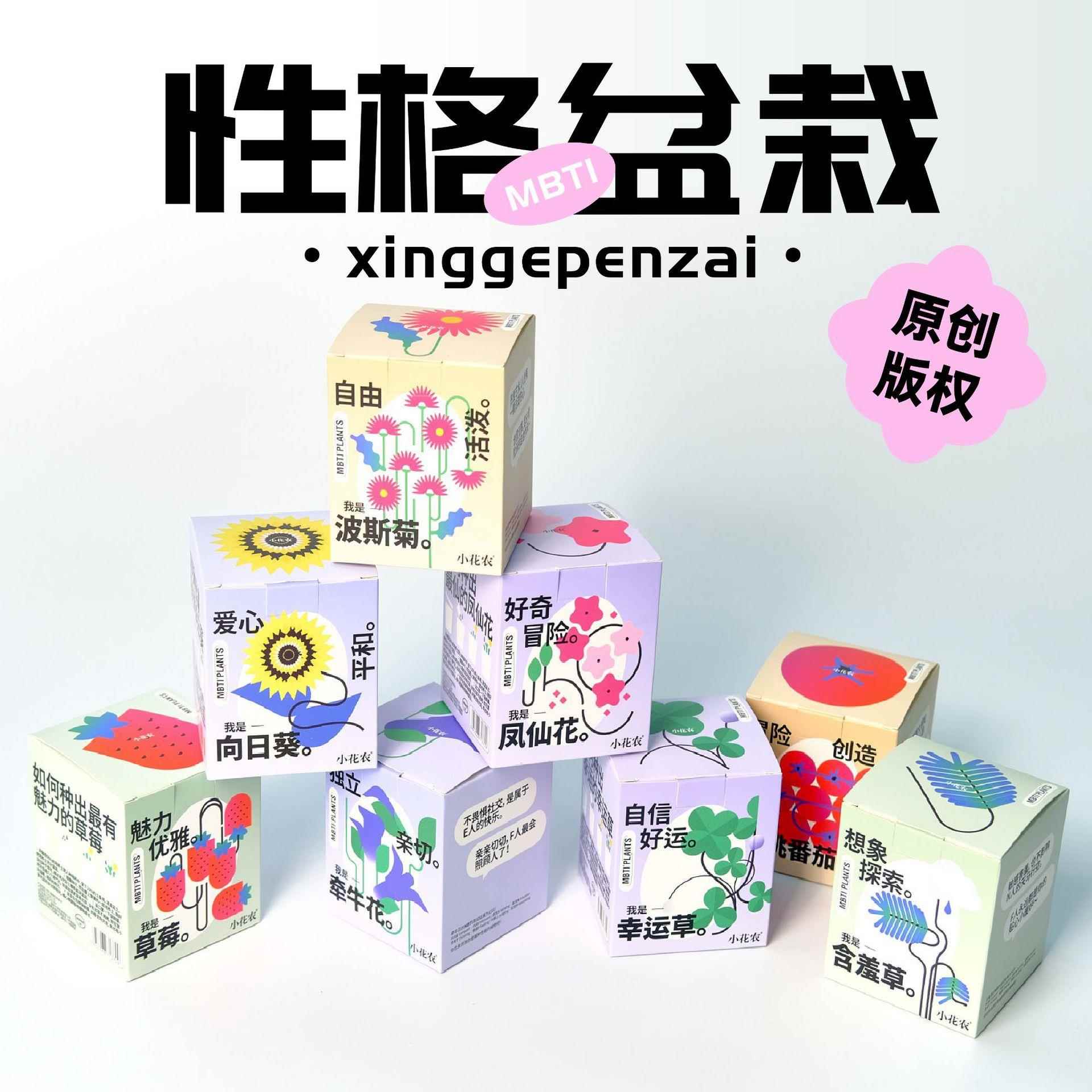 小花农趣味种植 植物生长观察 情绪稳定盆栽 厂家直发趣味礼品