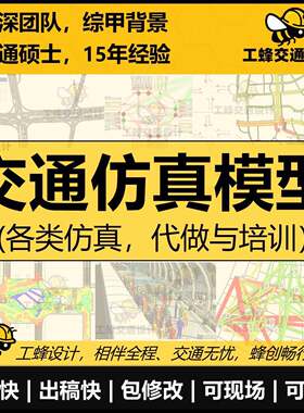 交通仿真代做，仿真模型培训，Legion行人仿真，VISSIM，TransCAD