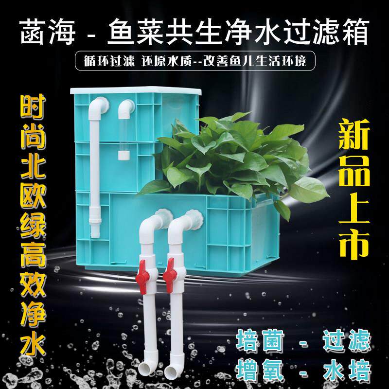 鱼缸水培周转箱过滤箱盒鱼池生态滤箱锦鲤池外置循环系统上置养花